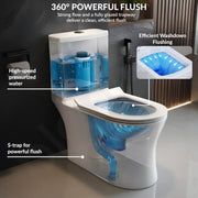 Plantex Commode for Toilet/Ceramic One Piece Toilet/Rimless Washdown Flush Commode with Soft Closing Toilet Seat - S Trap (White, APS-2019)
