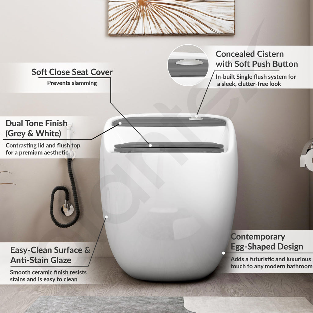 Plantex Platinum Ceramic Rimless Commode/One Piece Western Toilet ...