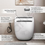 Plantex Platinum Ceramic Rimless Commode/One Piece Western Toilet/Siphonic Flush Western Commode with Soft Close Toilet Seat - S Trap Outlet (White & Grey)