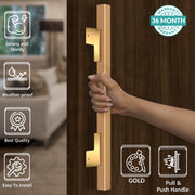 Plantex 17 Inch Main Door Handle for Wooden Doors - Pull-Push Handle Accessories (Pack of 1, Gold)