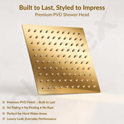 Plantex Stainless Steel Overhead Shower 8 x 8 inch with Water-Saving Technology/High pressure Rain Shower Head without Arm/Bathroom Shower -(Ultra Slim-PVD Gold)