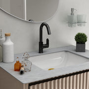 Plantex Pure Brass Sink Tap for Wash Basin/360° Swivel Spout for Kitchen Sink Tap with Water Saving Aerator/7 Year Warranty by Plantex (ORN-212-PVD Black)