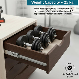 Plantex Drawer Channel/Regular Close Ball Bearing Channel for Drawer/Telescopic Drawer Channel Slide for Wooden & Metals Drawers in Kitchen, Wardrobe, (12-Inch,Silver) 1 Pair Set