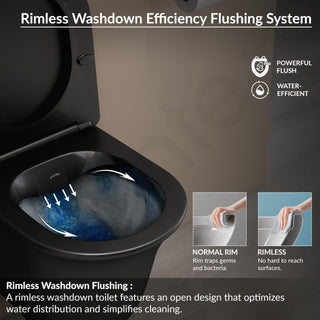 Plantex Ceramic Rimless Commode for Toilet/Western Commode/Wall Hung Commode with Soft Closing Toilet Seat - P Trap (Matt Black)