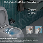 Plantex Imported Ceramic Wall Mounted Commode/Rimless Washdown Western Commode Toilet/Western Toilet with Soft Close Seat Cover - P Trap (Matt Grey)