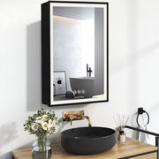 Plantex Bathroom Cabinet with Mirror/Aluminium Framed Cabinet Storage/LED Mirror Cabinet for Wall/Bathroom Organiser Cabinet -Defogger & Bluetooth(20x28 Inch, Black)