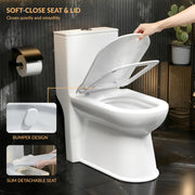 Plantex Platinum Ceramic Rimless One Piece Western Toilet/Commode for Toilet/Washdown Flush Commode With Soft Close Toilet Seat - S Trap Outlet (White)