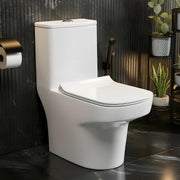 Plantex Ceramic Commode for Toilet/One Piece Western Toilet with 6D Siphonic Flush/Commode with Soft Closing Toilet Seat - S Trap - (ASTA, White)