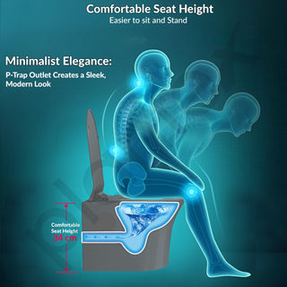 Plantex Platinum Ceramic Rimless Wall Hung Western Commode/Rimless Washdown Flushing System/P Trap Commode for Bathroom with Soft Close Toilet Seat (Smoke)