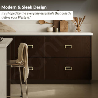 Plantex Rajwadi Drawer Kadi/3.5 Inch Drawer Handle/Pull-Push Kadi for Home/Office Cabinet - Pack of 2 (Brass Antique)