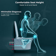 Plantex Platinum Rimless Wall Hung Western Commode/Washdown Bathroom Commode / P Trap Western Toilet with Soft Close Toilet Seat Cover (Ocean)