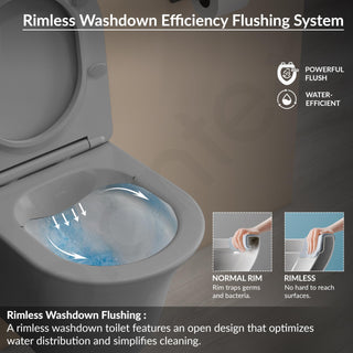 Plantex Imported Commode for Toilet/Ceramic Wall Hung Commode/Rimless Washdown Flush Commode with Soft Closing Toilet Seat - P Trap Outlet (1162 - Matt Grey)