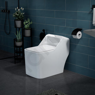 Plantex Imported Platinum One Piece Western Commode for Toilet/Rimless Siphonic Vaccum Commode with Soft Close Toilet Seat Cover - S Trap Outlet (White)
