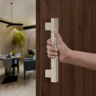 Plantex Mighty Aluminium 11 Inch Main Door Handle/Pull-Push Handle for Glass Door/3 Years Warranty (Satin Finish, Pack of 1)