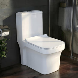 Plantex Commode for Toilet/One Piece Western Toilet with Rim Wash-Down Flush/Ceramic One Piece Commode with Soft Closing Toilet Seat - S Trap - (Lunar, White)