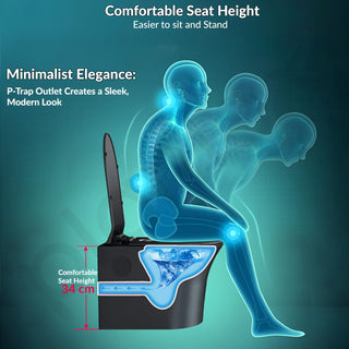 Plantex Platinum Ceramic P Trap Wall Hung Western Commode/Rimless Washdown Flush for Western Toilet/Commode with Soft Close Toilet Seat Cover - (Black)