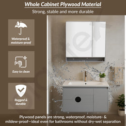 Plantex Unbrekable Wash Basin with Cabinet/Plywood Rectangle Vanity with Basin/Bathroom Organizer for Home with Coupling, Mirror and Cabinet Motion Sensor Light (NZBC-45)