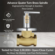 Plantex Pure Brass 25 mm Flush Valve with Teflon Tape & Wall Flange - 7 Year Warranty (Commercial & Residential Use)