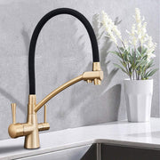 Plantex Pure Brass Kitchen Taps for Home Sink/3-in-1 Sink Mixer Tap with Built-in RO Outlet/360Ã‚Â° Swivel Spout with Pull Down Kitchen Faucet-(Gold & Black)