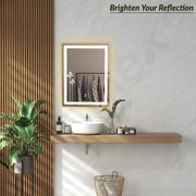 Plantex LED Bathroom Mirror with 3 Tone/Rectangle Mirror for Living Room/Bedroom/Dressing Room - (HM-005, 18 X 24 Inch)