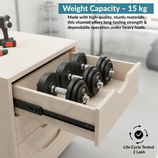 Plantex Drawer Channel/Regular Close Ball Bearing Slider Drawer Channel for Home, Kitchen & Wardrobe/Channel for Drawer (10-Inch,Black) Pair