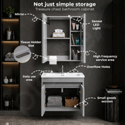Plantex Wall Mount Vanity Cabinet with Washbasin and Mirror/Rectangular Basin with Cabinet for Bathroom - (Clara - 600, Grey)