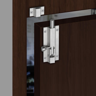 Plantex Stainless Steel 4-inch Tower Bolt/Tower Bolt for Home,Offices Doors and Windows/Tower Bolt for Main Door/Wardrobe Door Latch/Kundi/Chitakini/Door Latch for Windows (Chrome, Pack of 6)