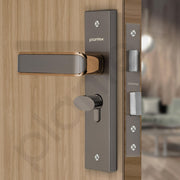 Plantex Heavy-Duty Door Lock Set - Main Door Lock Handle Set/ 6-Lever Lock Mechanism with 3 Years of Warranty/Mortise Lock with 3 Keys, Brass Lockbody & Cylinder (8112 - Satin Black & PVD Choco)