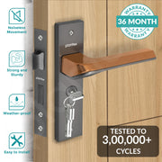 Plantex Heavy-Duty Door Lock Set - Main Door Lock Handle Set/Mortise Lock with 3 Keys, Brass Lockbody & Cylinder (8113 - Satin Black & PVD Choco)