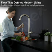 Plantex Pull-Down Kitchen Sink Tap/Pure Brass Sink Tap for Kitchen Basin with 360â° Swivel Spout/Kitchen Sink Faucet- (2045, Matt)