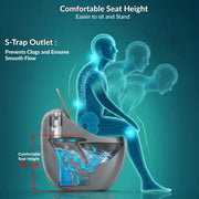 Plantex Imported Ceramic Western Toilet/Rimless Commode for Toilet/Siphonic Vacuum Jet Flush One Piece Commode With Soft Close Toilet Seat - S Trap Outlet (Glossy Grey)