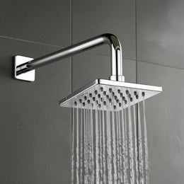 Plantex Stainless Steel Shower Head 100 mm with Water Saving Nozzle/Shower for Bathroom/Rain Shower Head for Bathroom without Arm- (Elegance-Chrome)