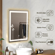 Plantex LED Bathroom Mirror with 3 Tone/Rectangle Mirror for Living Room/Bedroom/Dressing Room - (HM-005, 18 X 24 Inch)