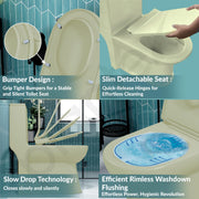 Plantex Platinum Ceramic Rimless One Piece Western Toilet/Washdown Commode for Toilet/Commode With Soft Close Toilet Seat - S Trap Outlet (Thunder)
