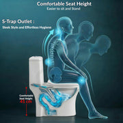 Plantex Siphonic Flush System Ceramic Commode/S Trap Western Toilet with Siphonic Vacuum Flush/One Piece Western Commode With Soft Close Toilet Seat  (White - Ukrain)