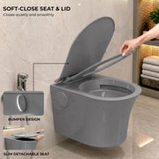 Plantex Platinum Ceramic Rimless Wall Hung Western Commode/Rimless Washdown Flushing System/P Trap Commode for Bathroom with Soft Close Toilet Seat (Smoke)
