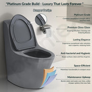 Plantex Imported Ceramic Commode/Rim Siphonic Vaccum Jet Flush Western Commode/One Piece Western Toilet with Soft Close Toilet Seat - S Trap (Glossy Grey)
