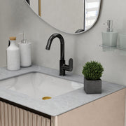 Plantex Pure Brass Sink Tap for Wash Basin/360° Swivel Spout for Kitchen Sink Tap with Water Saving Aerator/7 Year Warranty by Plantex (ORN-212-PVD Black)
