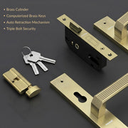 Plantex Stainless Steel Door Lock Handle Set/ 6-Lever Lock Mechanism with 3 Years of Warranty/Mortise Lock with 3 Keys, Brass Lock Body & Cylinder - (DTM-661, Brass Antique)