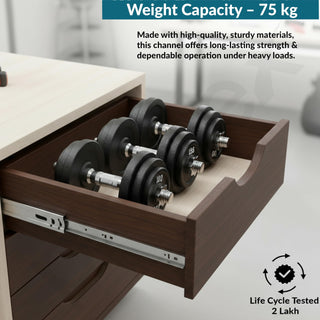 Plantex Drawer Channel/Regular Ball Bearing/Channel for Drawer/Telescopic Channel for Wooden & Metals Drawers in Kitchen, Wardrobe, (22-Inch,Silver) 1 Pair Set