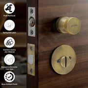 Plantex Bathroom Door Lock/Stainless Steel Pull Push Door Handle Lock Set/Keyless Lock Handle for Bathroom (Brass Antique, DTM-666)