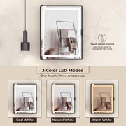 Plantex LED Mirror Cabinet for Bathroom/ABS Storage Cabinet/Mirror Cabinet for Wall/Mirror with Storage for Bathroom - 18x14 Inch (CAB-118, Black)