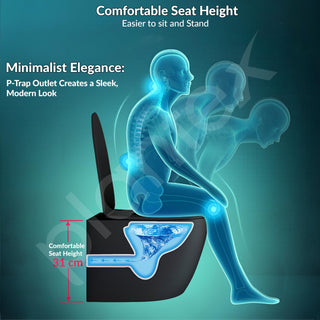 Plantex Imported Ceramic Wall Hung Commode/Rimless Washdown Western Toilet/Bathroom Commode with Soft Close Toilet Seat - P Trap (Round - Matt Black)