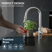 Plantex Pull-Down Kitchen Sink Tap/Pure Brass Sink Tap for Kitchen Basin with 360⁰ Swivel Spout/Kitchen Sink Faucet- (2045, Chrome)