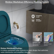 Plantex Imported Wall Hung Commode for Toilet/Ceramic Western Commode/Rimless Washdown Commode with Soft Closing Toilet Seat - P Trap (1064, Matt Blue)