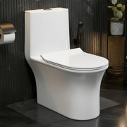 Plantex Ceramic Commode For Toilet/One Piece Western Commode With Rimless Siphonic Flush/Commode With Soft Closing Toilet Seat - S Trap - (Hexa, White)