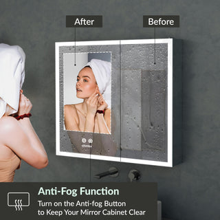 Plantex Luxury LED Mirror Cabinet for Bathroom/304 Grade Stainless Steel Bathroom Cabinet/with Double Door Bathroom Box (18x18 Inch-LED & Defogger/Chrome/Double Door)