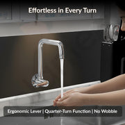 Plantex Brass Kitchen Sink Tap/360Ã‚Â° Swivel Spout Sink Tap for Kitchen Basin/Water Tap with Brass Wall Flange and Teflon Tape- 7 Year Warranty by Plantex (DOL-4300-Mirror Chrome)