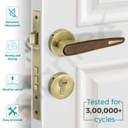 Plantex Main Door Lock/Mortise Lock for Door with 3 Years of Warranty - Robust Door Lock for Home with Brass Lock Body & Cylinder (Brass Antique & Wood Finish)