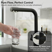 Plantex Kitchen Sink Faucet/Kitchen Tap Handle Brass and Body is 304 Grade Stainless Steel/Double Handle Kitchen Mixer Tap Hot and Cold/360Â° Swivel Spout Sink Taps - (7908, Black)